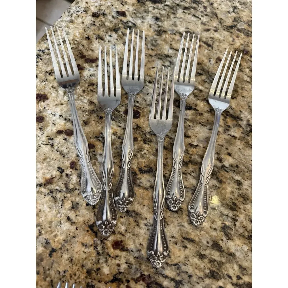 Lifetime Stainless Japan Pierrepont Flatware Mcm Set 42 Pc Service for 6 VTG